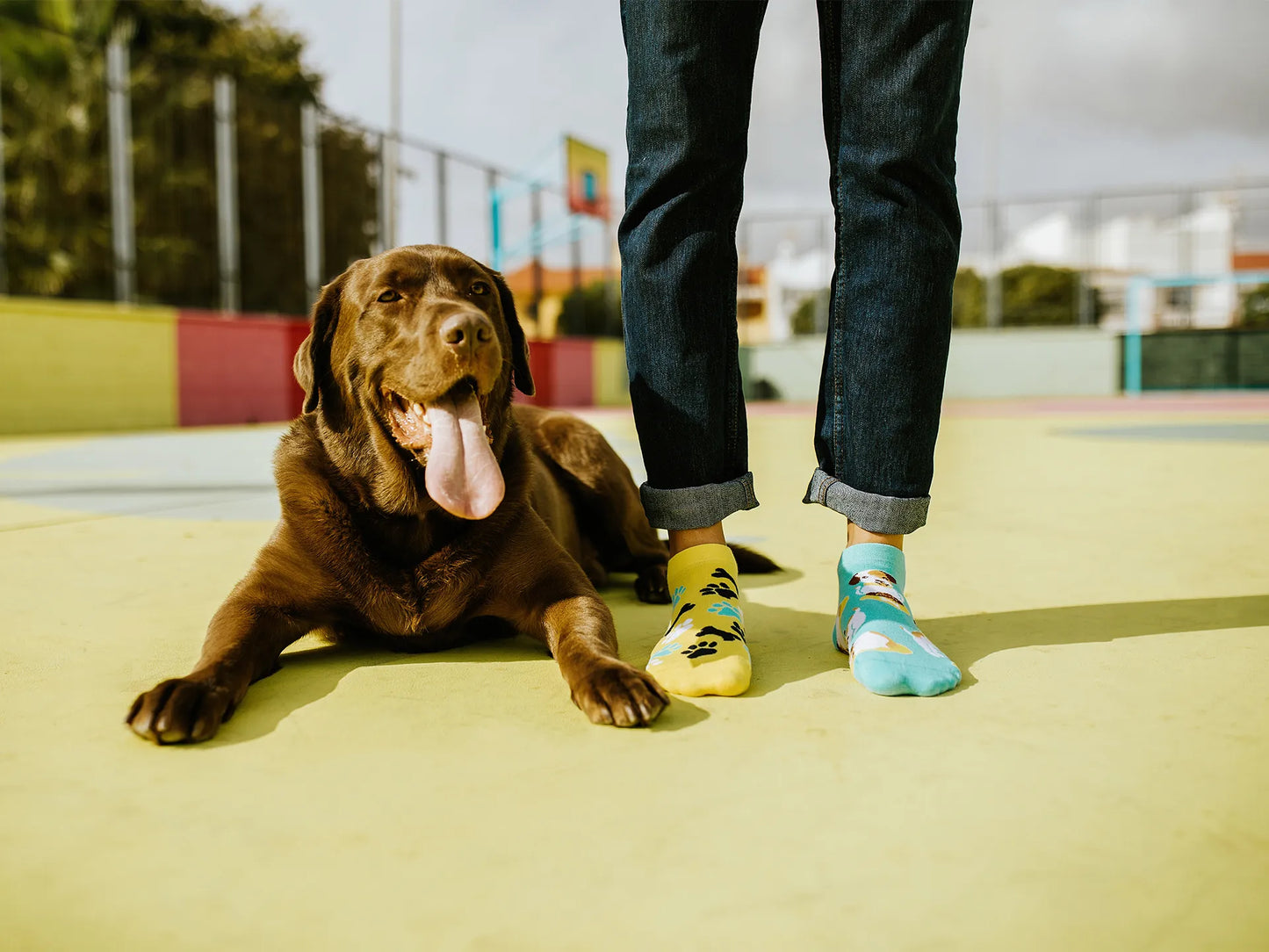 ankle-socks-happy-dog-04/04c3a258d11f17937f27cb07b7a0ae4535120103