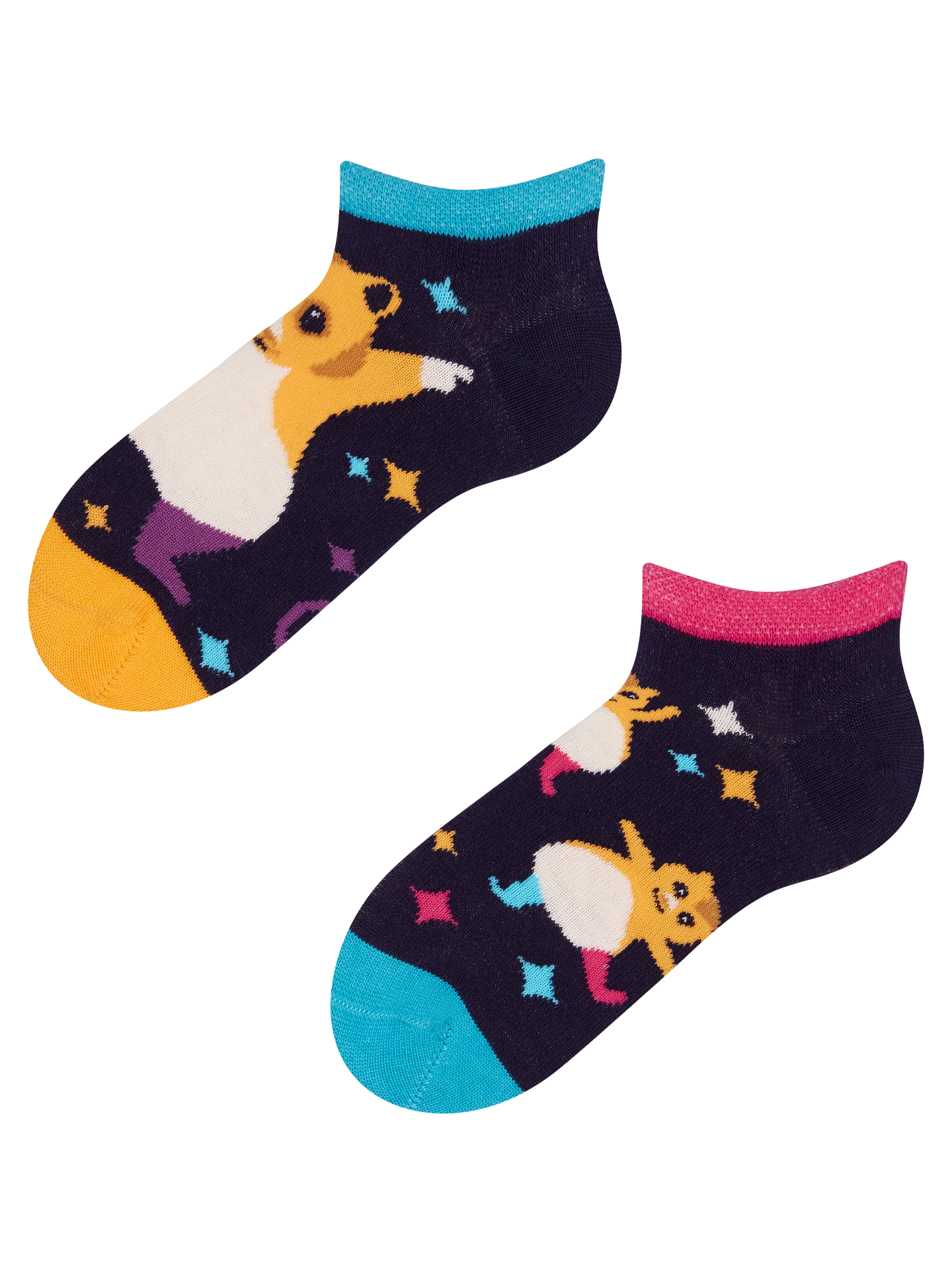 kids-ankle-socks-party-hamsters-d2/d24883f10d9f77385c37cbfcf3441ddd1bd93ae3