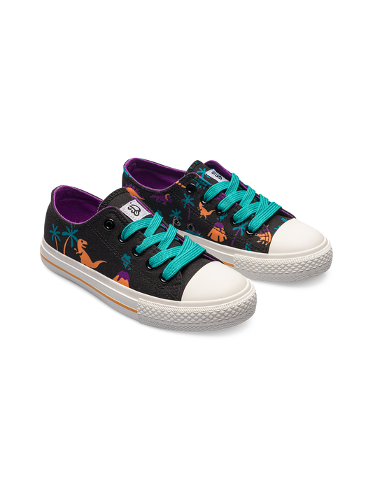 kids-canvas-shoes-dinos-volcanos-be/beae1c464c9dc2c8e14475bbebb906c997ed2e95