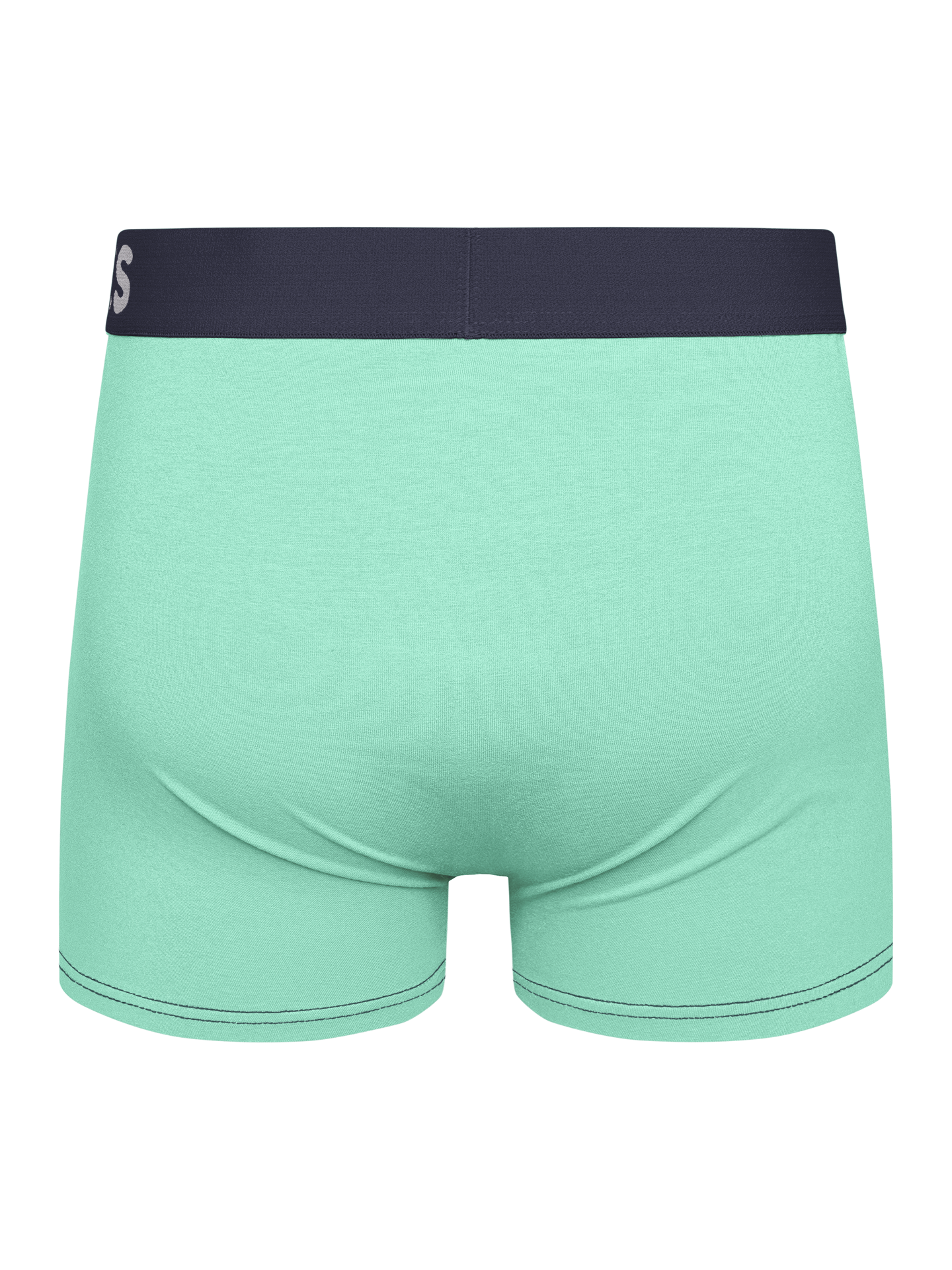 light-turquoise-mens-trunks-1f/1f25b6ba716de261a0fa26c7085417c6055c6bb9