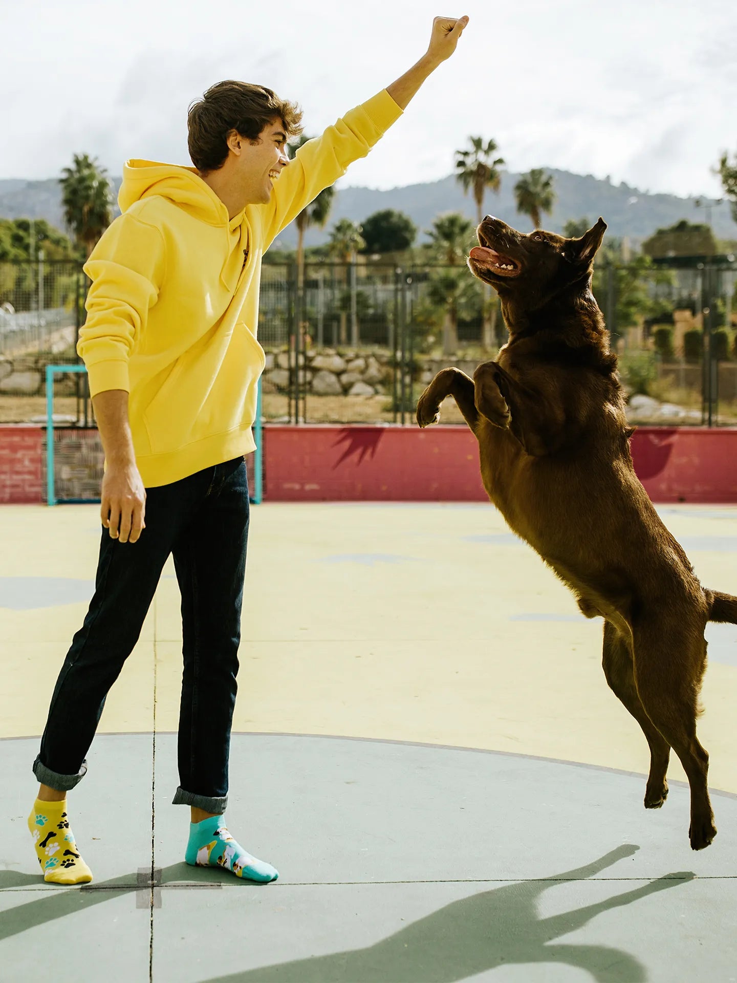 ankle-socks-happy-dog-9d/9d819b8f4a2216d15034c1d7760a6a13e5c7d769