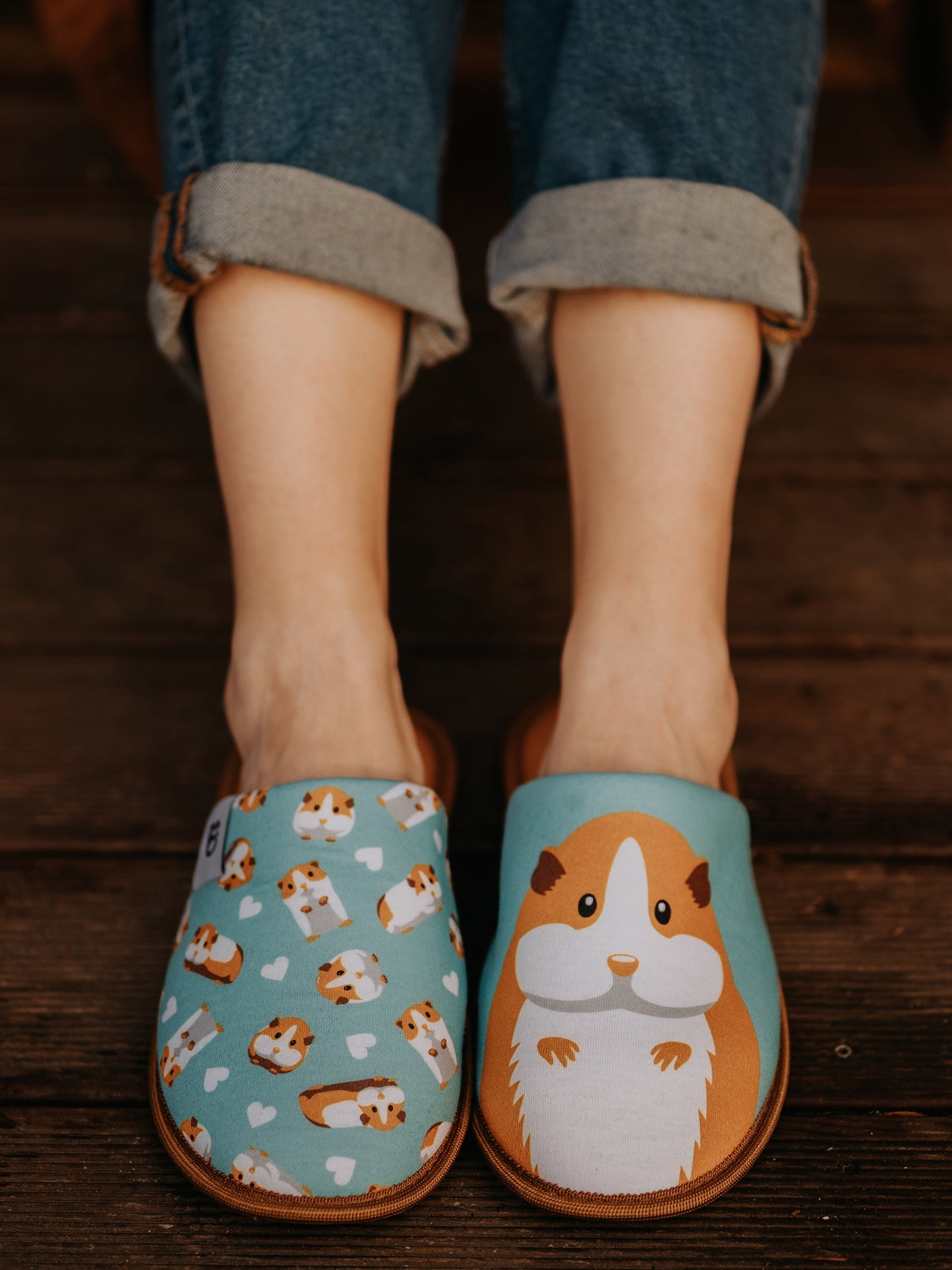 slippers-guinea-pig-3f/3f6f2560254712ebc1585e08591bfbed28880f8e