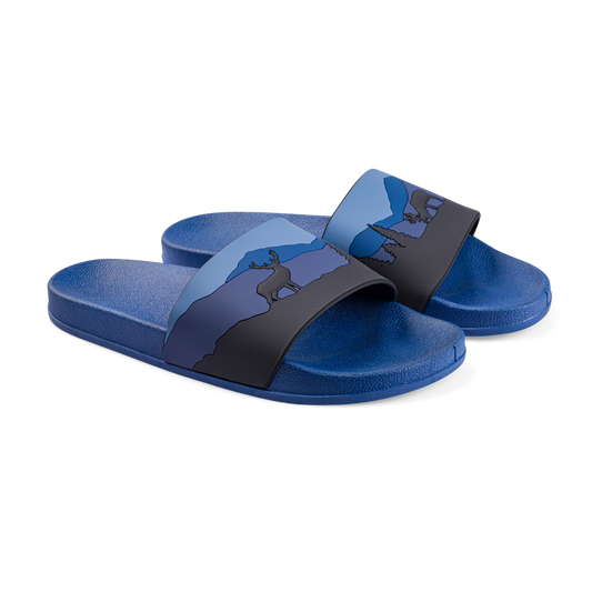 slides-deer-in-forest-dd/ddbed47e38981238980f38fdcf250db6f36befb5