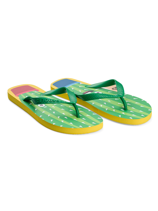 flip-flops-funny-cactus-65/658da6f0bed86fe83495036db8f69fe62e65f38d