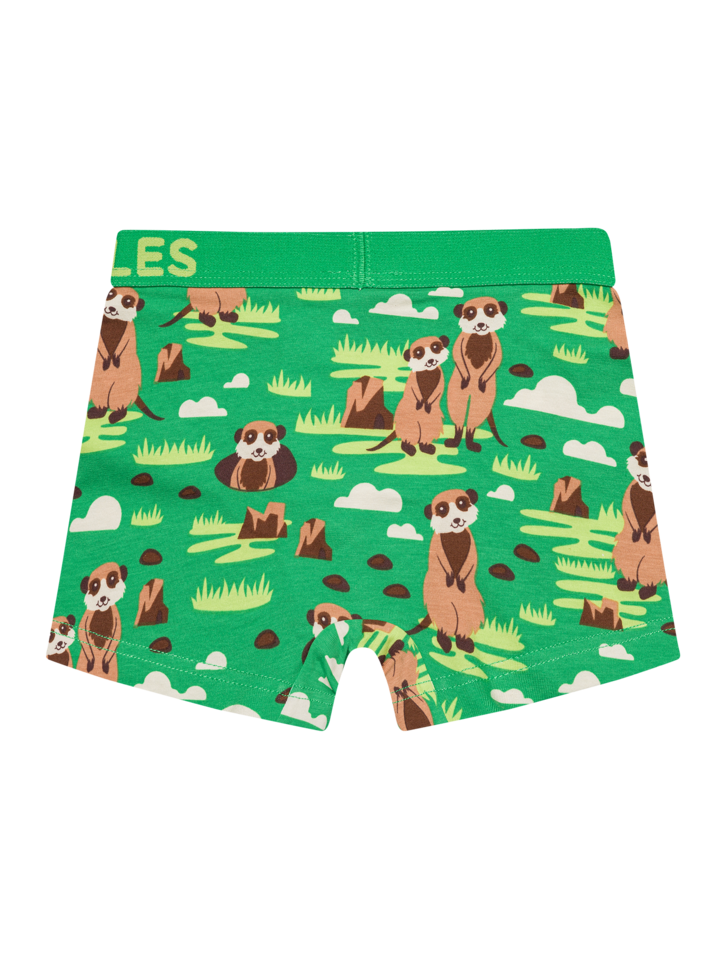 boys-boxers-meerkats-86/863f7da402723d40483ebac0586a51fc0ab99f40