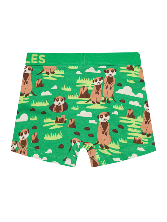 boys-boxers-meerkats-86/863f7da402723d40483ebac0586a51fc0ab99f40