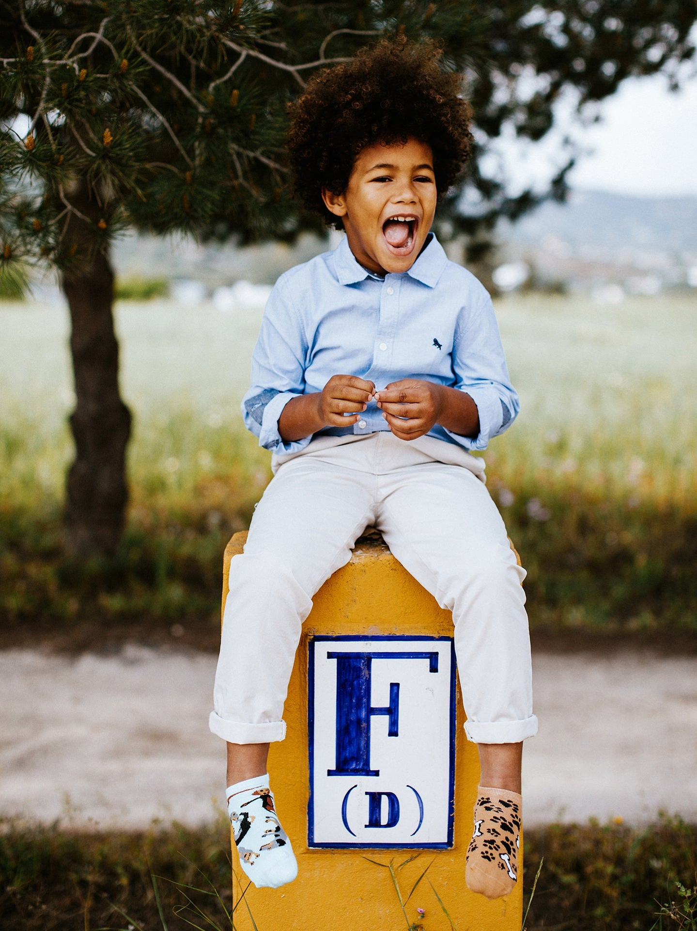 kids-ankle-socks-dachshund-b4/b43305db561d036e329d6056e320e6585125f291