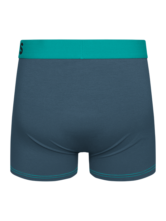 grey-turquoise-mens-trunks-f0/f04769fb40acde4bdb8b6af374ef1e80cf8ba041