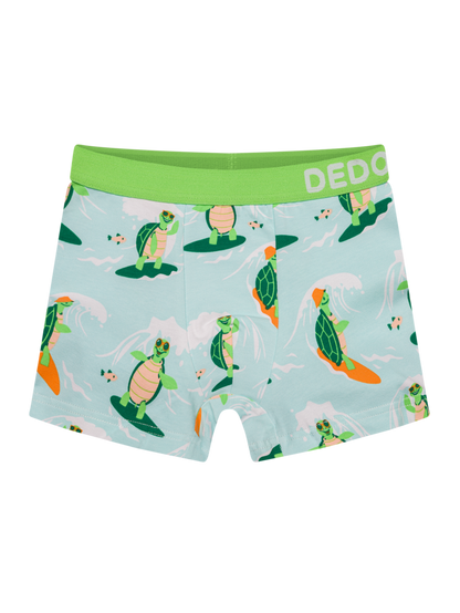 boys-boxers-turtle-the-surfer-e4/e4af8ff2bb0aa1c9507d4d22bb9adc9f229b0192