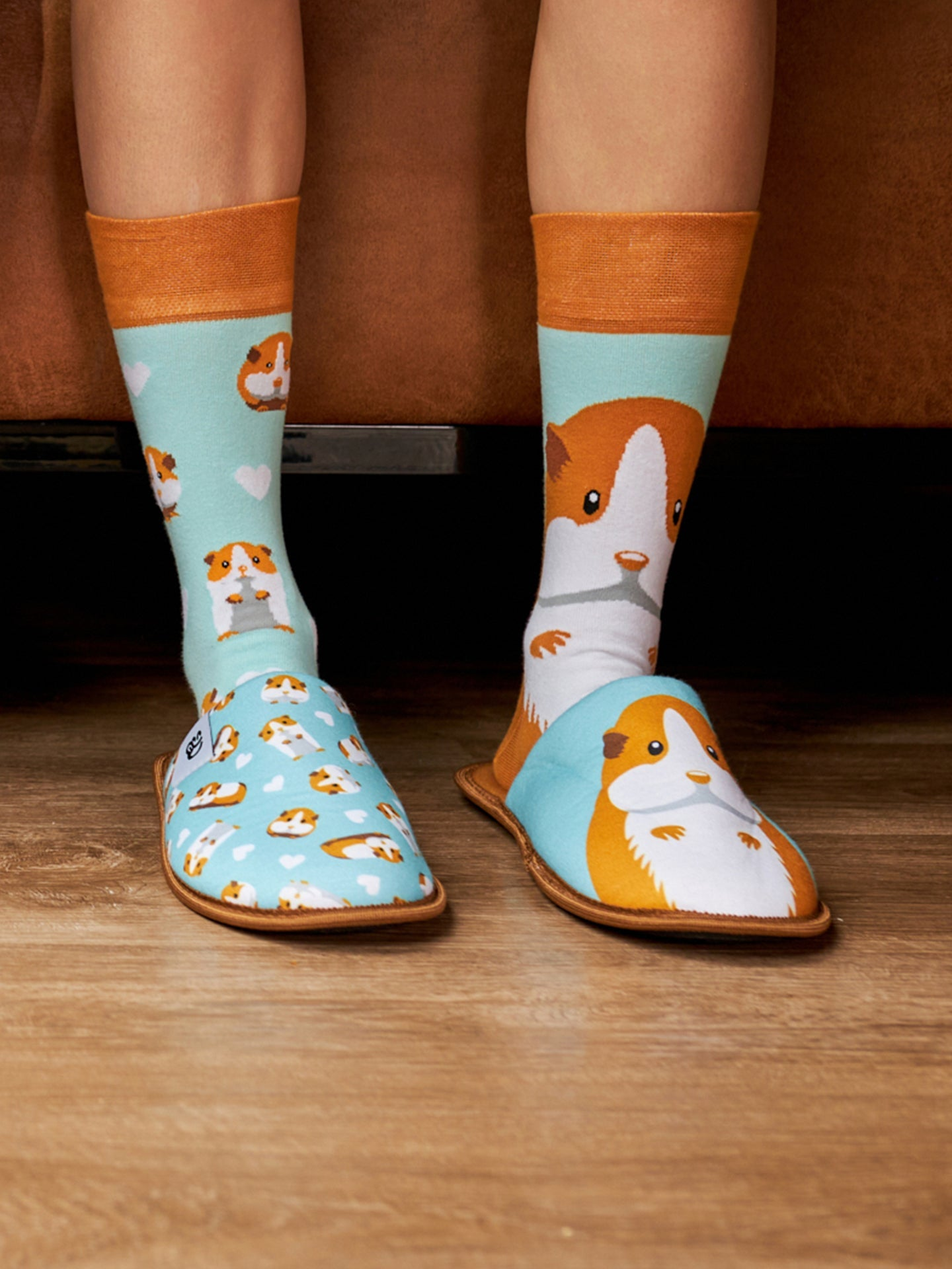 slippers-guinea-pig-2f/2f688c4d3fe017fd16dc2ac1ed68e8bcc19ca4e7